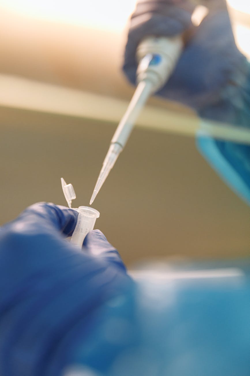 Naudingieji vaistažoliai senovinės medicinos ir šiuolaikinių tyrimų kontekste
